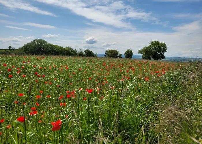 Le moulin des vignes