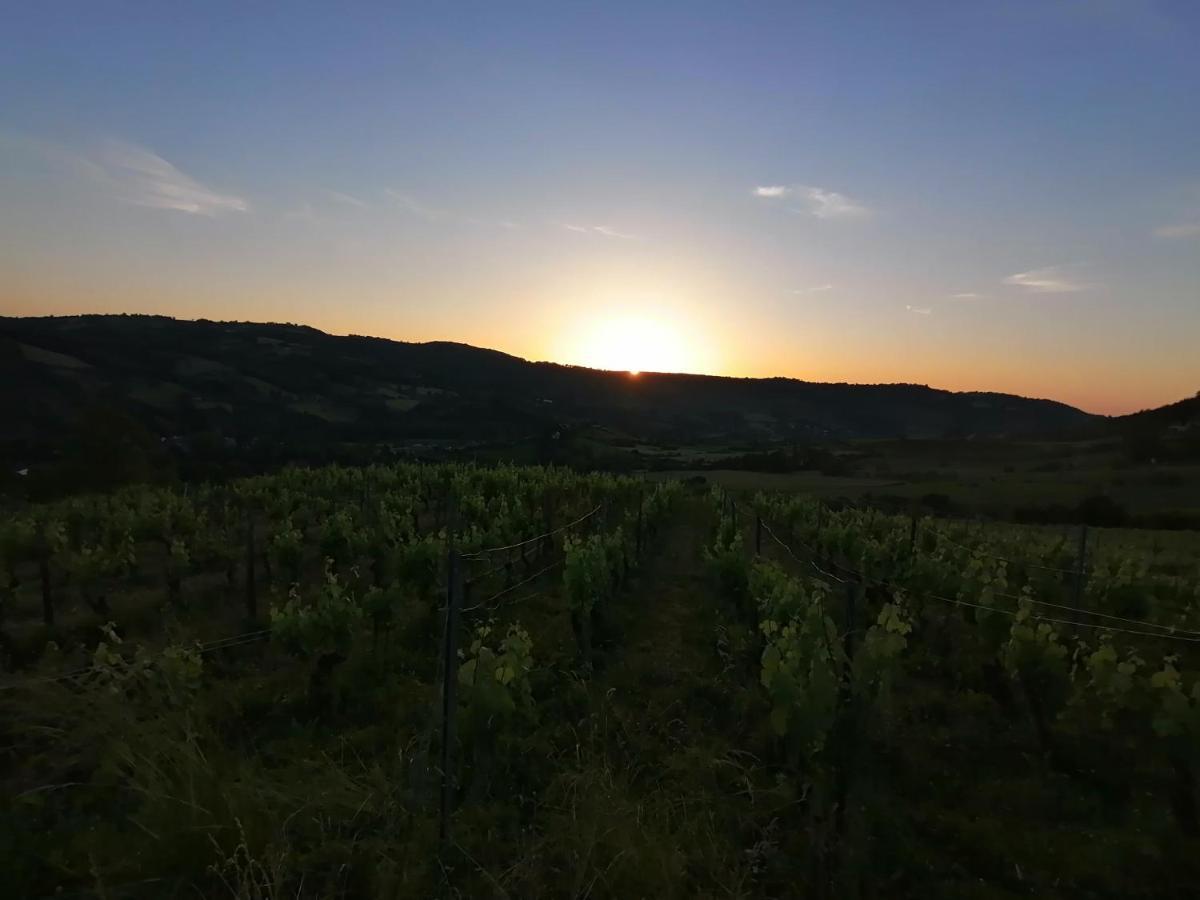 Hébergement de vacances Le Moulin Des Vignes Clairvaux-d'Aveyron