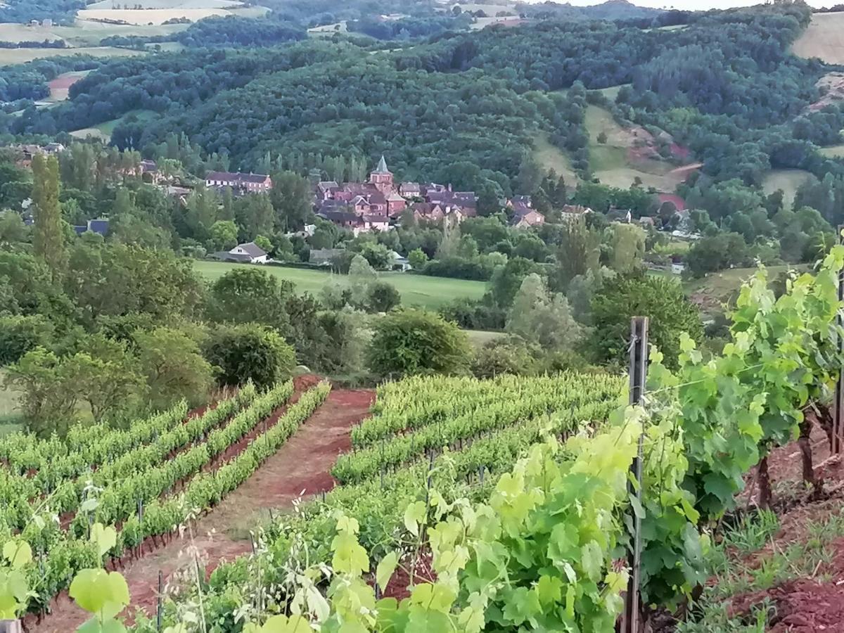 Le Moulin Des Vignes Hébergement de vacances *