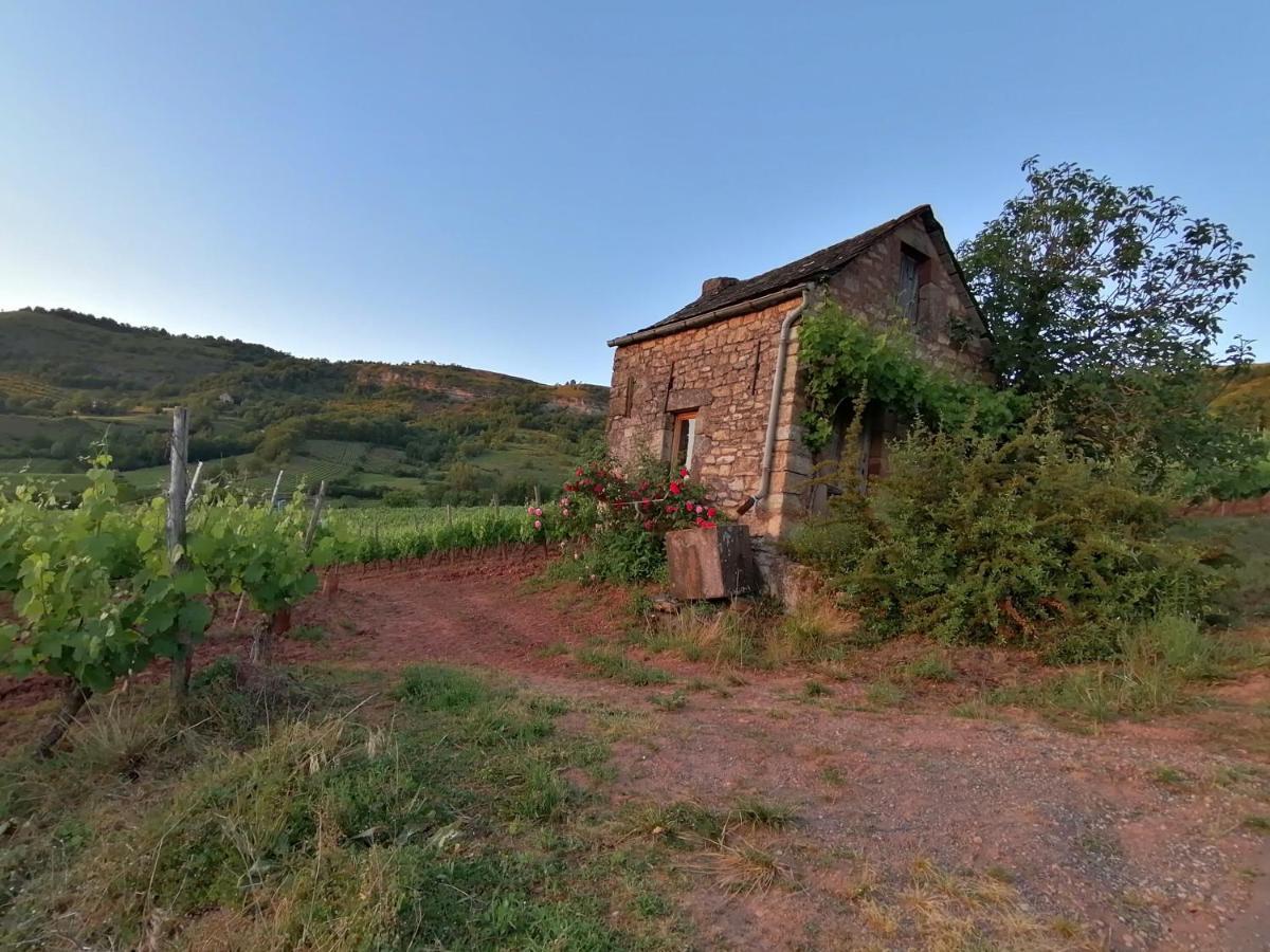 Le Moulin Des Vignes Clairvaux-d'Aveyron
