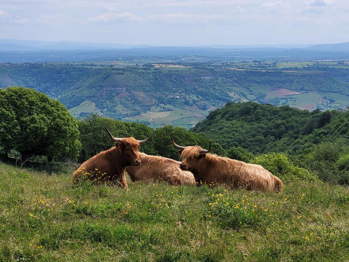 Hébergement de vacances Le Moulin Des Vignes Clairvaux-d'Aveyron